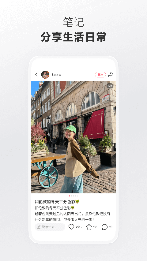 蜂鸟啄食星芒翅尖凝琥珀壁纸